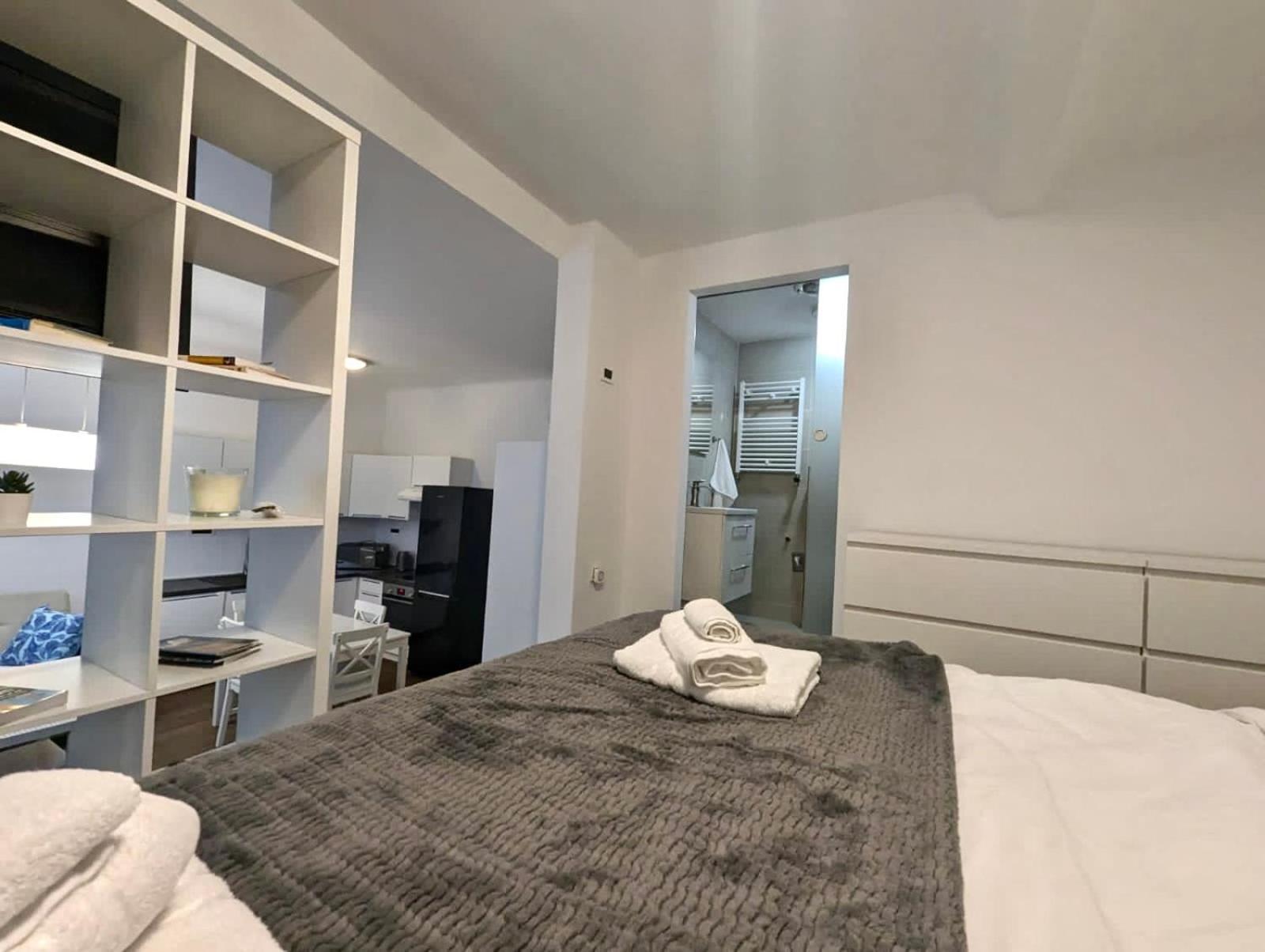 Fantabulous Downtown Abode W King Bed, 65" Tv, Washer And Tumble Dryer Zagreb Buitenkant foto