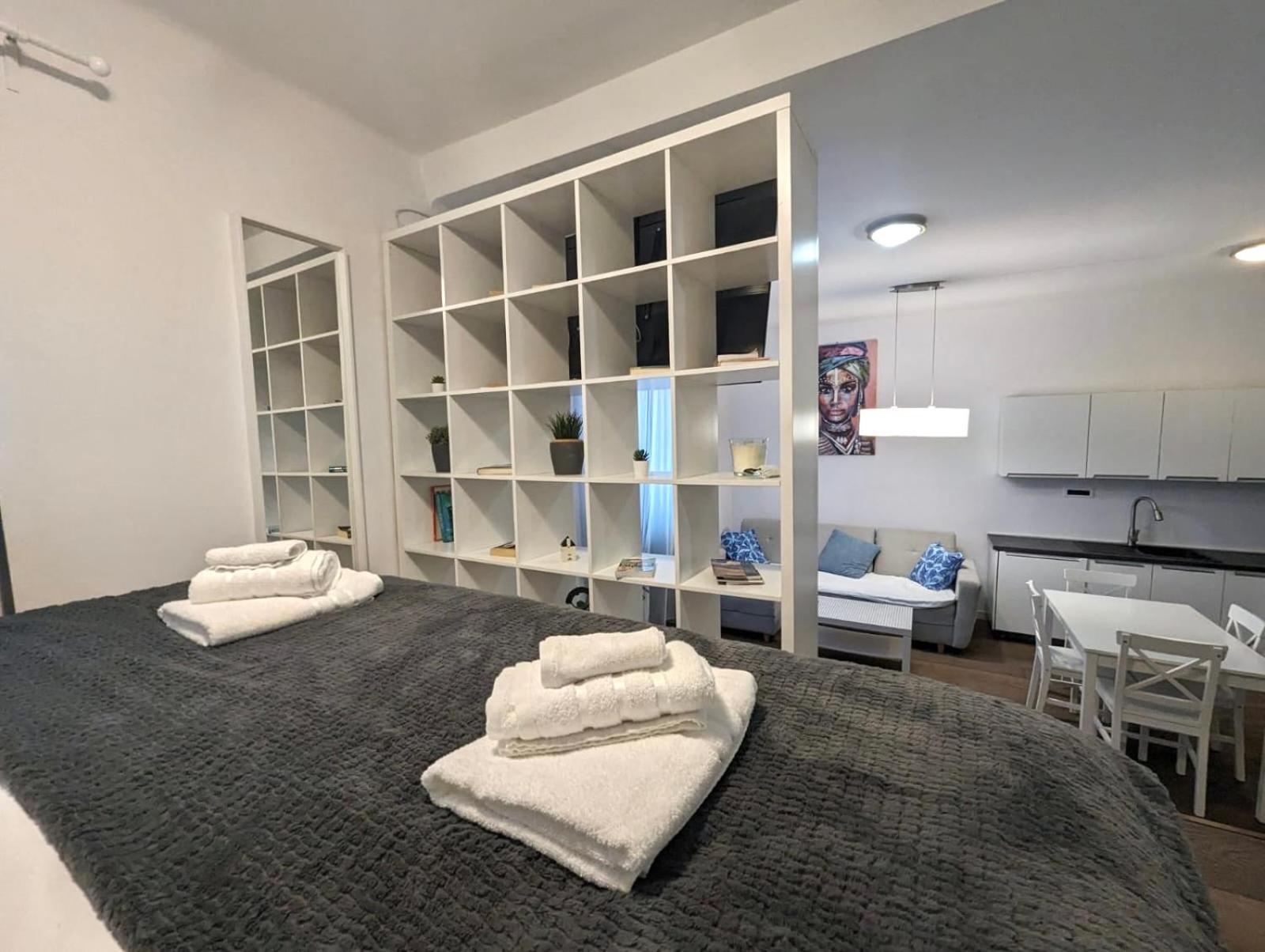 Fantabulous Downtown Abode W King Bed, 65" Tv, Washer And Tumble Dryer Zagreb Buitenkant foto